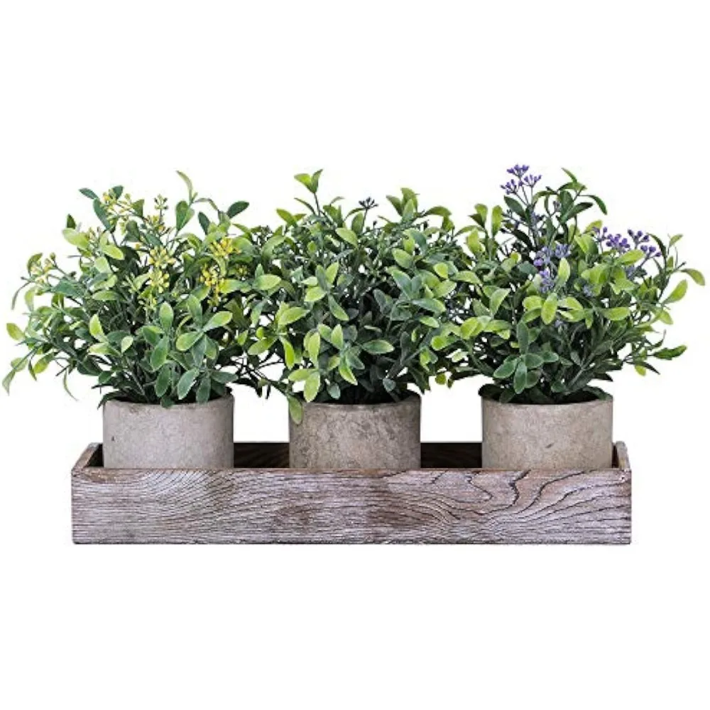 

Set of 3 Mini Artificial Potted Plants Faux Seeded Boxwood Greenery Arrangement with Wood Planter Box for Indoor Office Apartmen