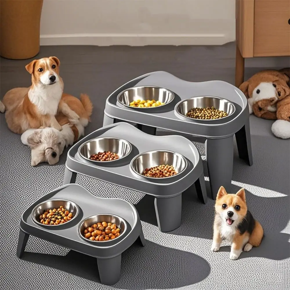 #25 Ranked Stainless Steel Puppy Bowls Picks in 2026