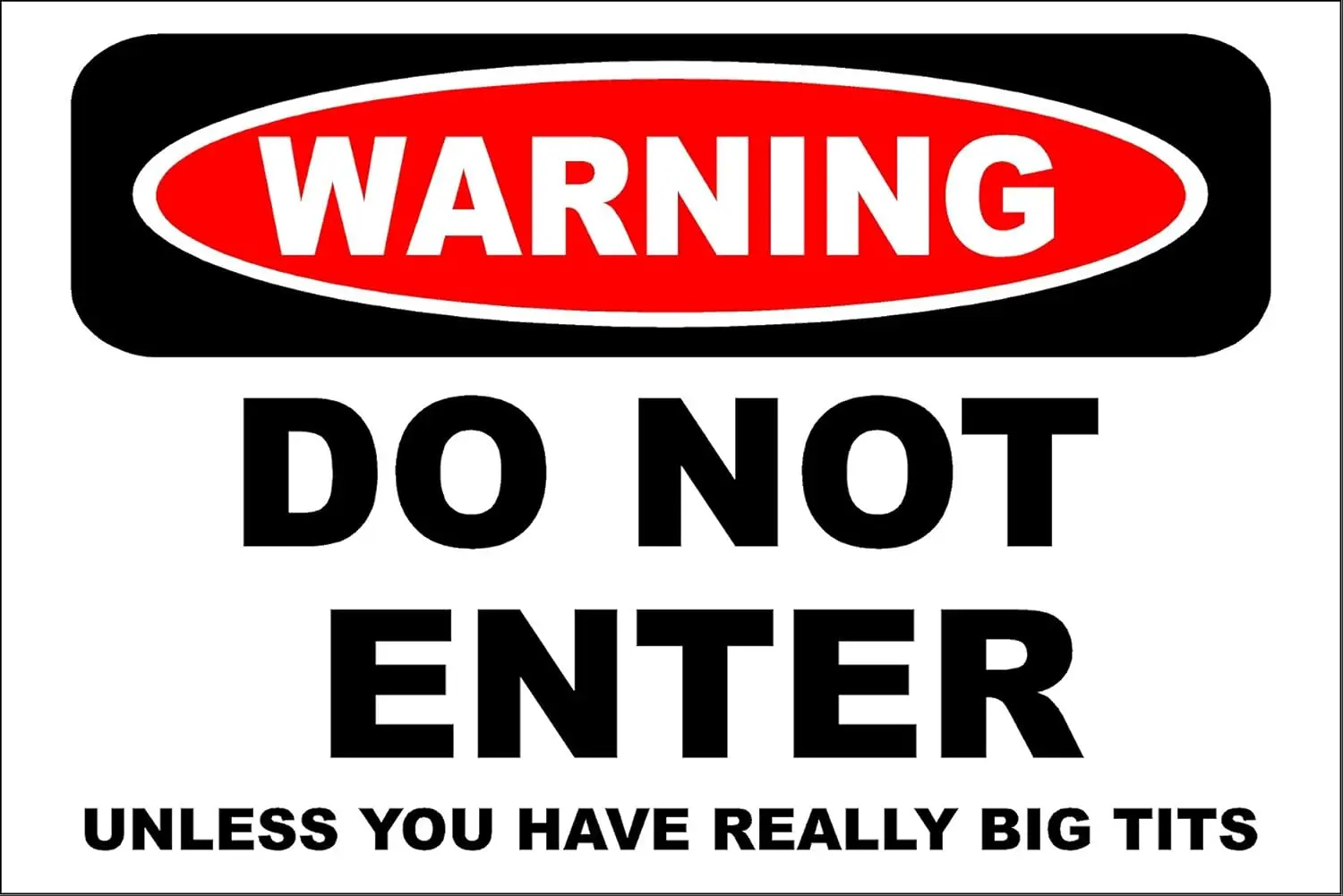 StickerPirate Warning Do Not Enter Unless You Have Really Big Tits  Metal Novelty Sign Aluminum s610