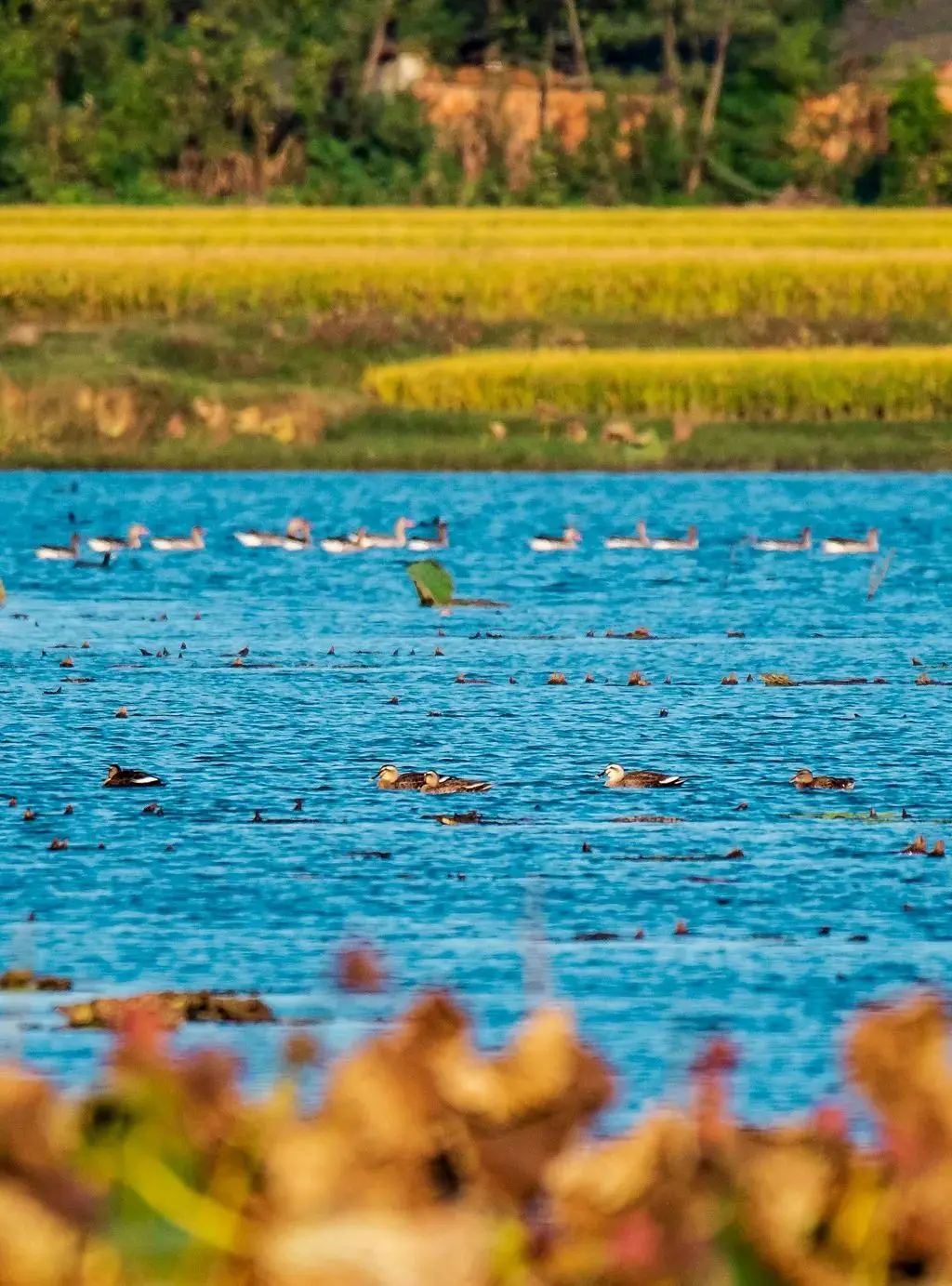 

1/8 1/10 110mm Short-Course Off-Road Truck Tire & Wheel Set, with 12mm/17mm Hex Connectors for ARRMA Senton/Trxs Slash