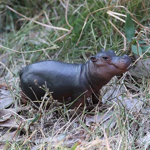 Oenux-Symulation Tiermodell, Wild Rhino, indisches Ornament von Hippo PVC, Bildungsspielzeug für Kinder, Gegenwart 6 Hauptverkäufe für indische Puppen - №3