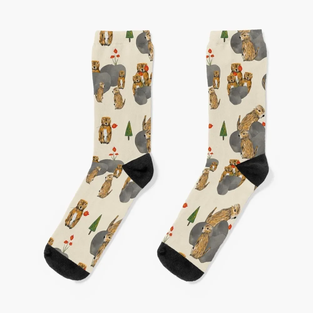 Cute and Quirky Marmots Socks christmas gift designer brand Men Socks Luxury Brand Women's