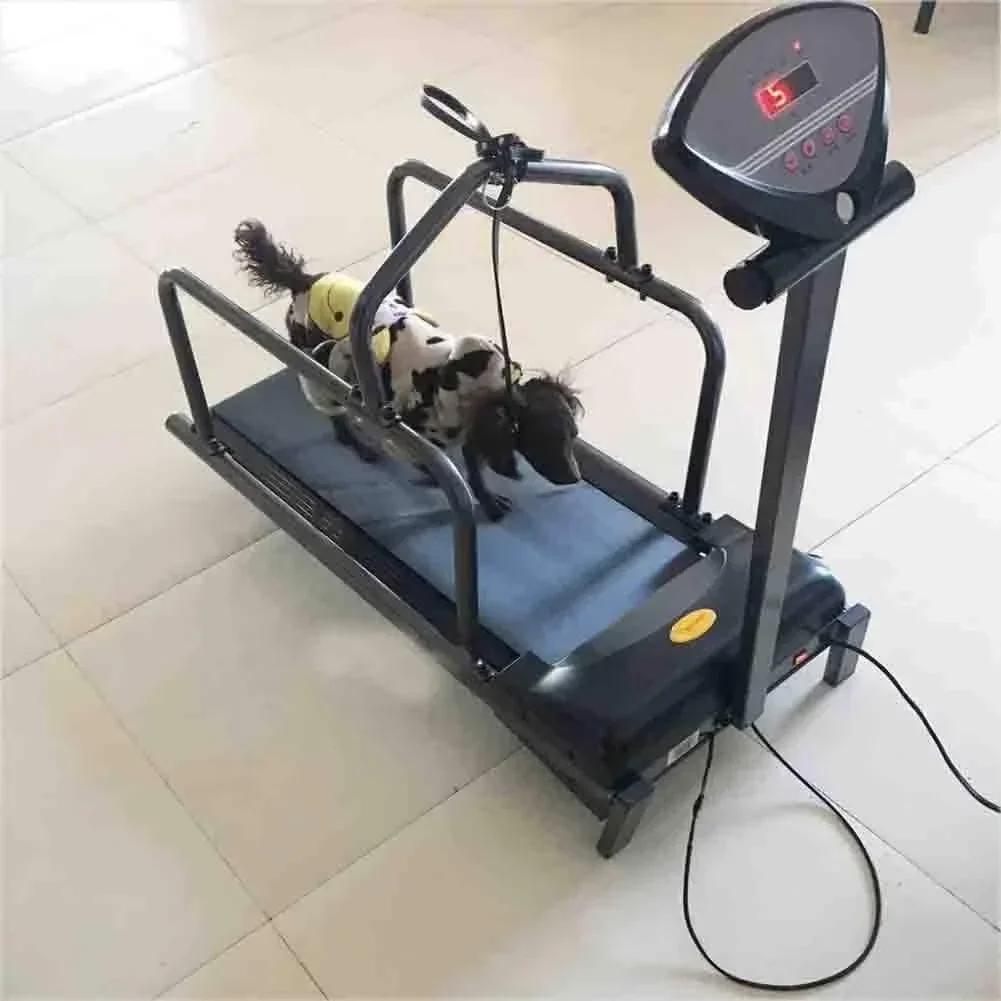 Dog Treadmill Walking Running Machine Pets Dog Treadmill