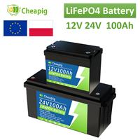 New LiFePO4 12V 24V 100Ah Lithium Battery Pack for Boat RV Household Solar Energy System, Traction Battery build in 100A BMS