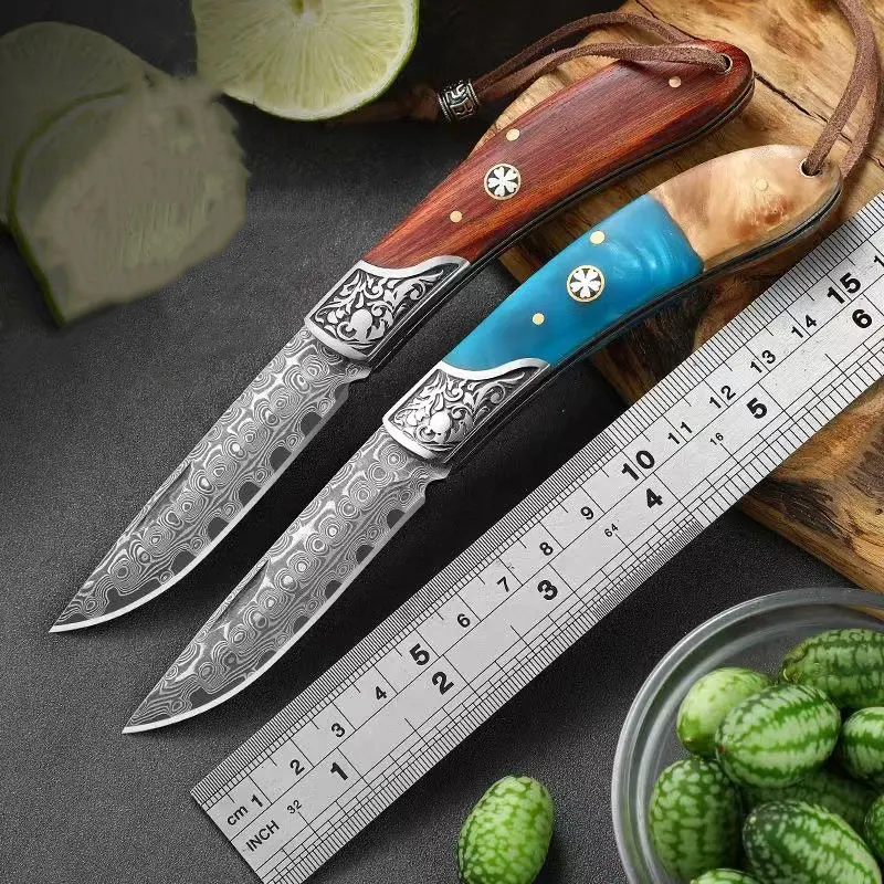 Damascus Steel folding knife Fruit Knife Camping outdoor multi-purpose knife