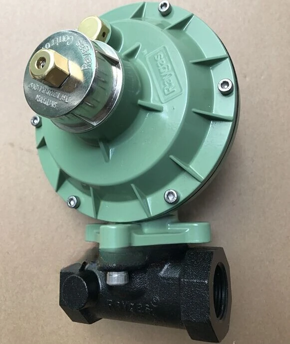 

RAYGAS liquefied gas pressure regulating valve (2-5Kpar) combustion machine pressure reducing valve 12D20-RHR-S1120