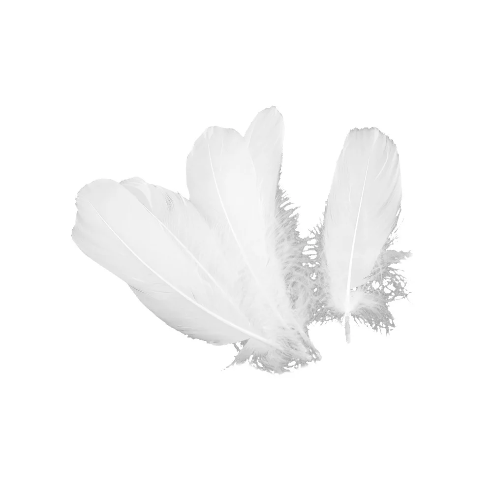 

150Pcs Natural White Goose for Wedding Party Decor Craft DIY Bohemia Style