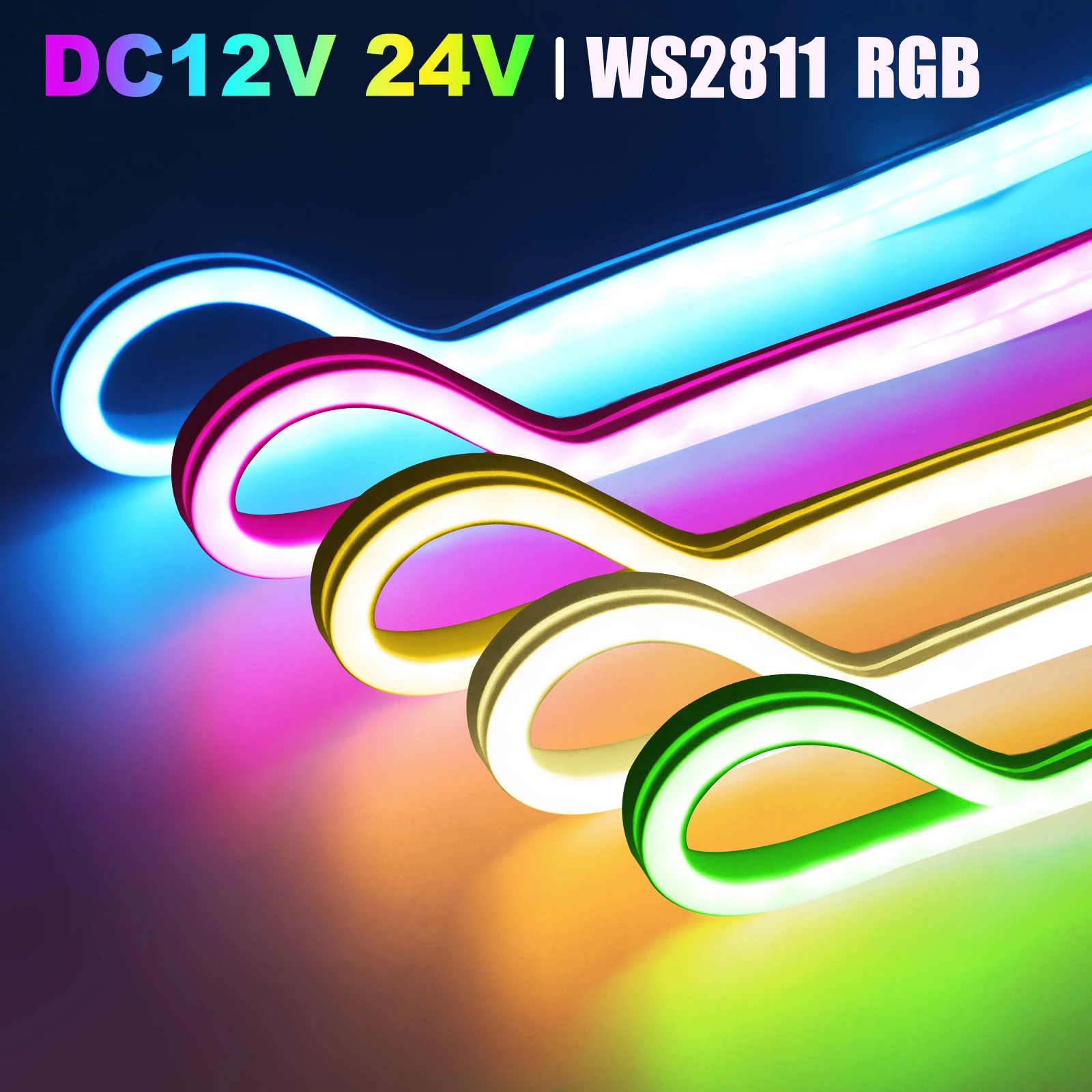 

WS2811 RGBIC Dream Color Neon Strip Light DC 12V 24V Waterproof Home Decor Flexible Ribbon Tape Rope LED Strip 1M 5M 10M