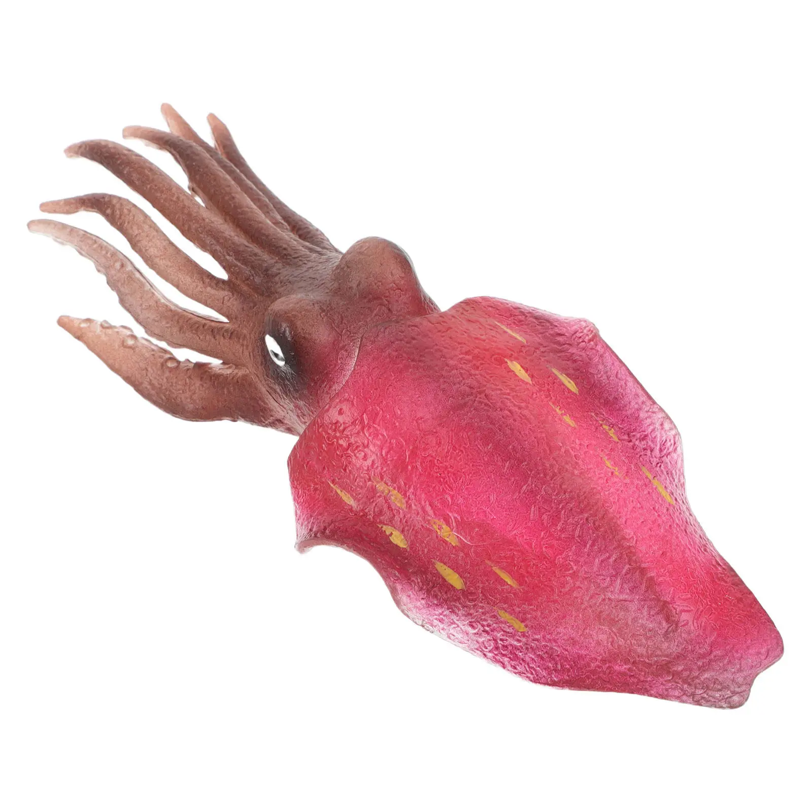 Small Simulation Squid Sculpture Realistic Artificial Ocean Animal Decoration Desktop Marine Animal Figures for Home Restaurant