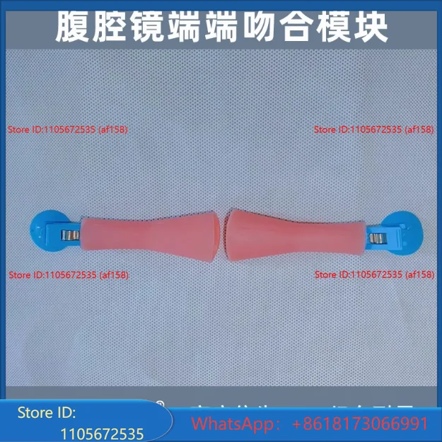 Laparoscopic surgery training, colorectal anastomosis, surgical module