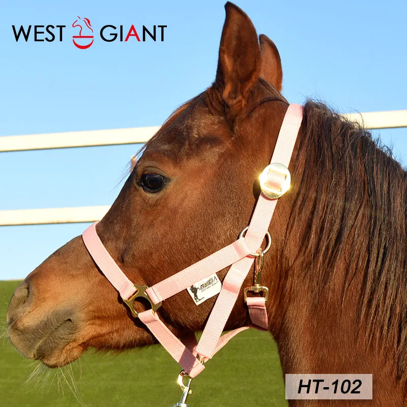 High-quality Nylon Horse Bridle Lead Horse Rope Set Horse Lead Two-piece Set Western Giant Harness Supplies