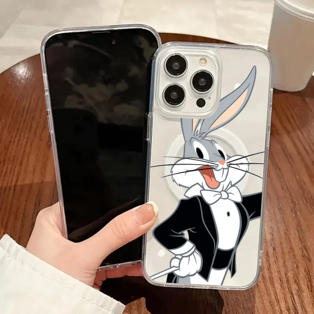 Funny Cute Rabbit B…