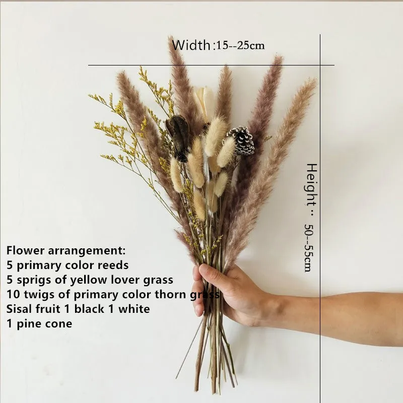 

Pampas Grass Nordic Style Reed Pine Nuts Fruit Dried Bouquet Literary Fresh Props Soft Decoration Indoor Diy Flower Arrangement