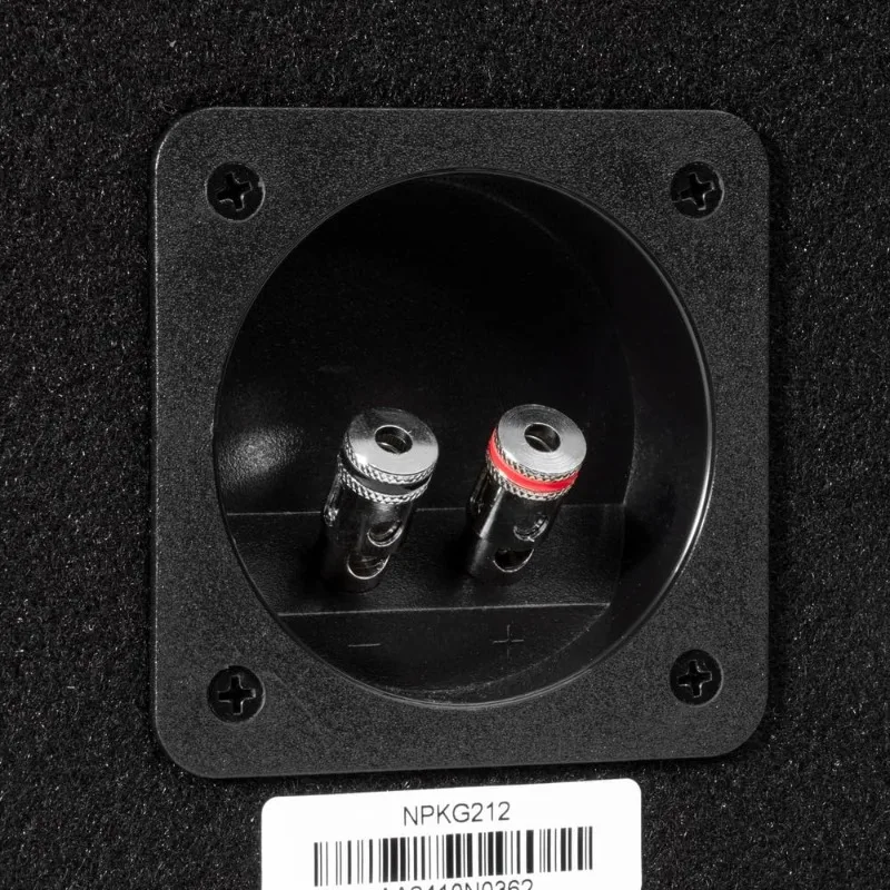 home.NPKG212 1000W MAX (500W RMS) مضخم صوت مزدوج 12 بوصة مزود بفتحة ومضخم صوت أحادي الكتلة مع جهاز تحكم عن بعد B