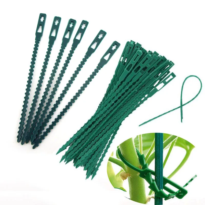 50pcs Adjustable Plastic Plant Cable Ties Reusable Fishbone Band Tools Greenhouse Grow Kits for Garden Tree Climbing Support C2