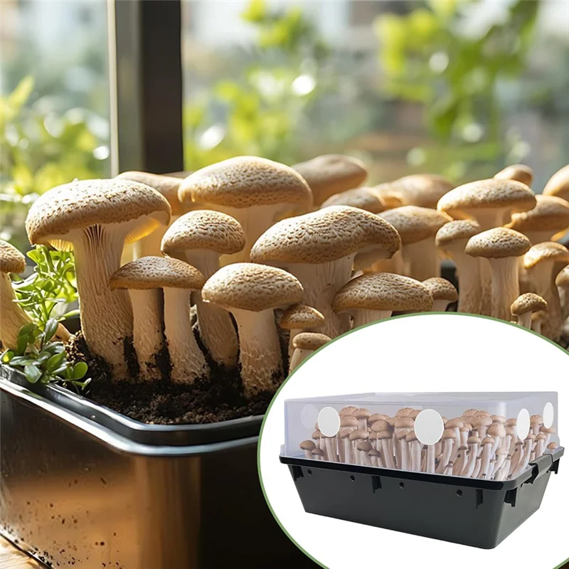 AAAN-2.5 "أقراص مرشح لاصقة أحادية الاستحمام 24 قطعة-أقراص مرشح Monotub سميكة 2 مللي متر لمستلزمات تزايد الفطر