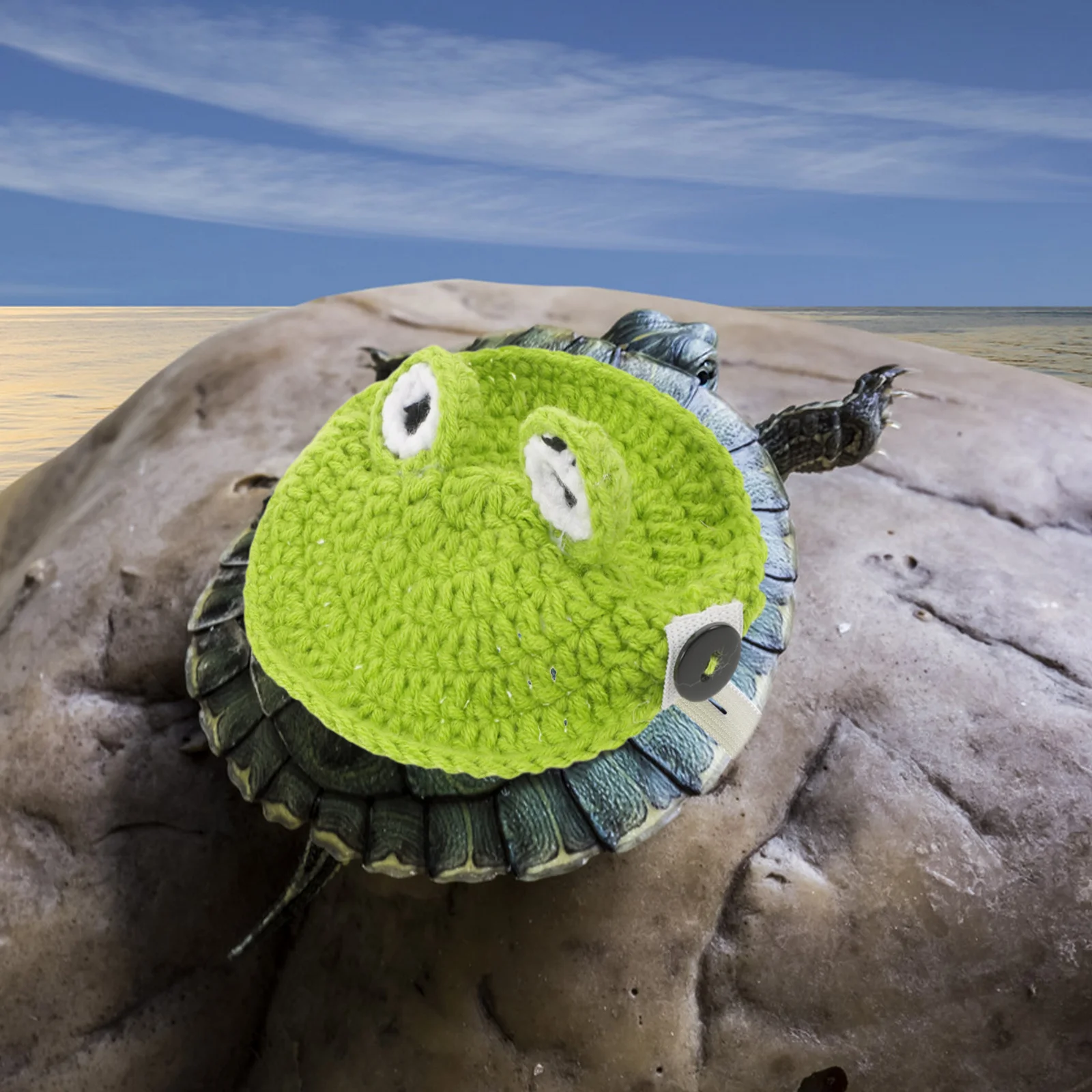 

Pet Turtle Shell Decor Handmade Knitted Tortoise Winter Sweater With Elastic Strap For Holiday Party Photo Shoot Festival