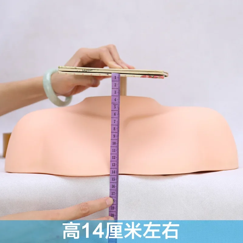 Modelo de hombro falso con molde para cabeza