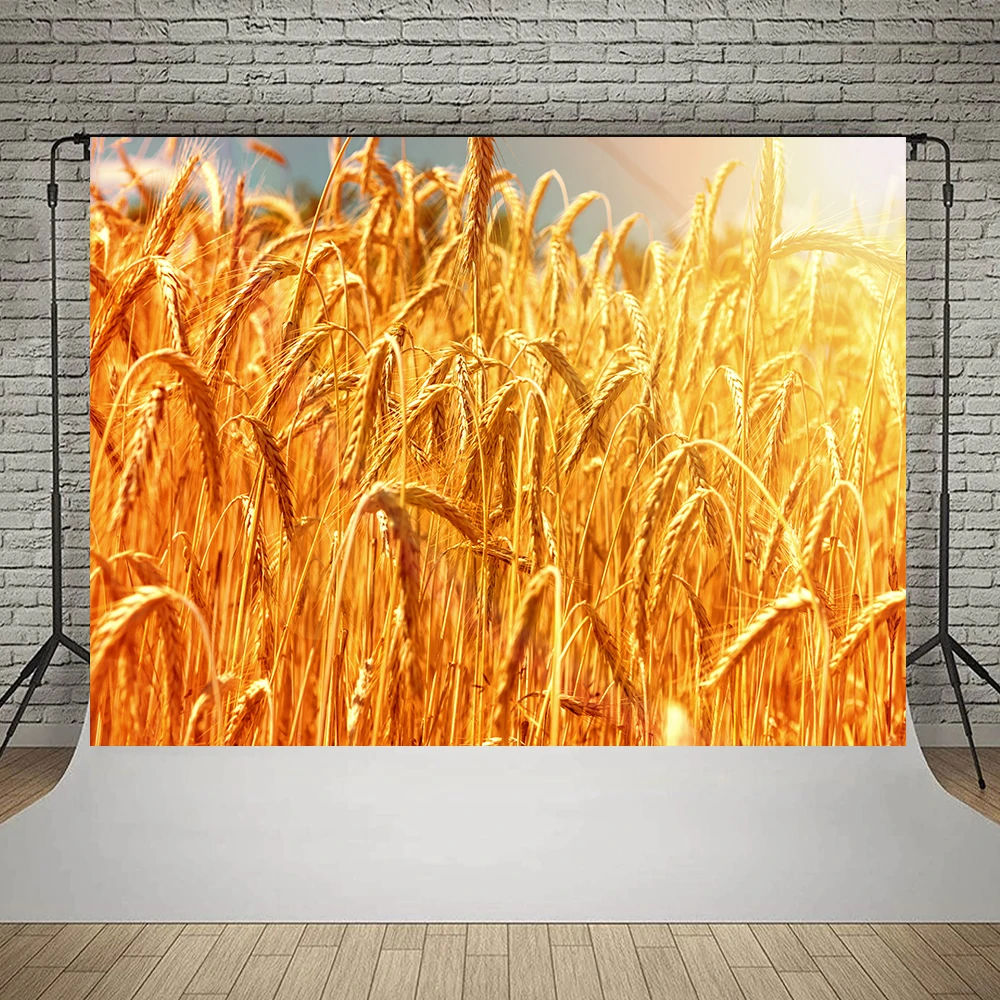 Bonvvie Photography Backdrop Beautiful Sunset Ripe Wheat Ears Golden Field Child Portrait Photocall Background for Photo Studio