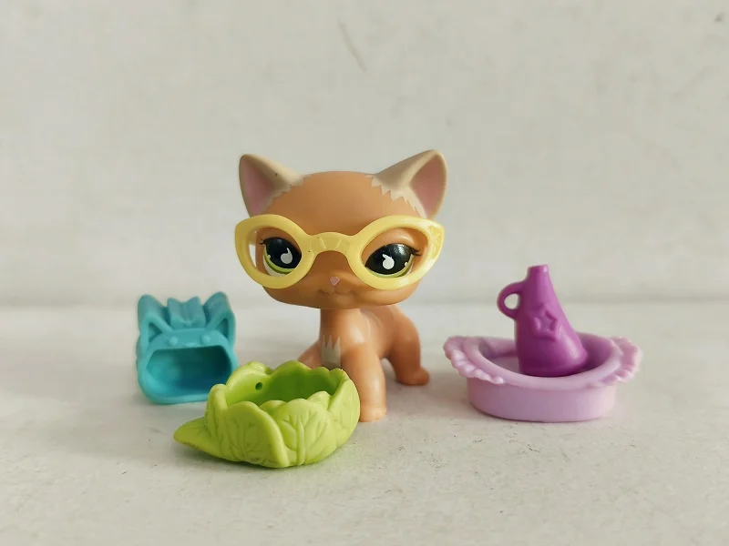 Littlest Pet Shop Figure LPS Orange cat #790 W/5pcs Accessories for kid Toy