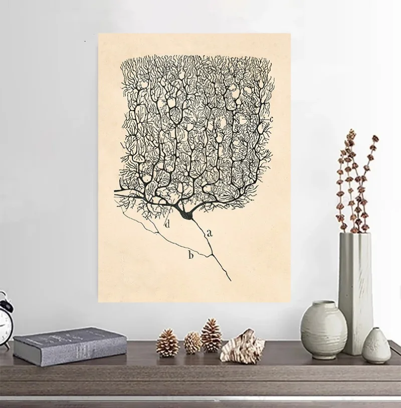 Santiago Ramon Y Cajal Neuron Drawing Vintage Poster Brain Anatomy Wall Art Canvas Print Neuroscience Biology Illustration Decor view 3