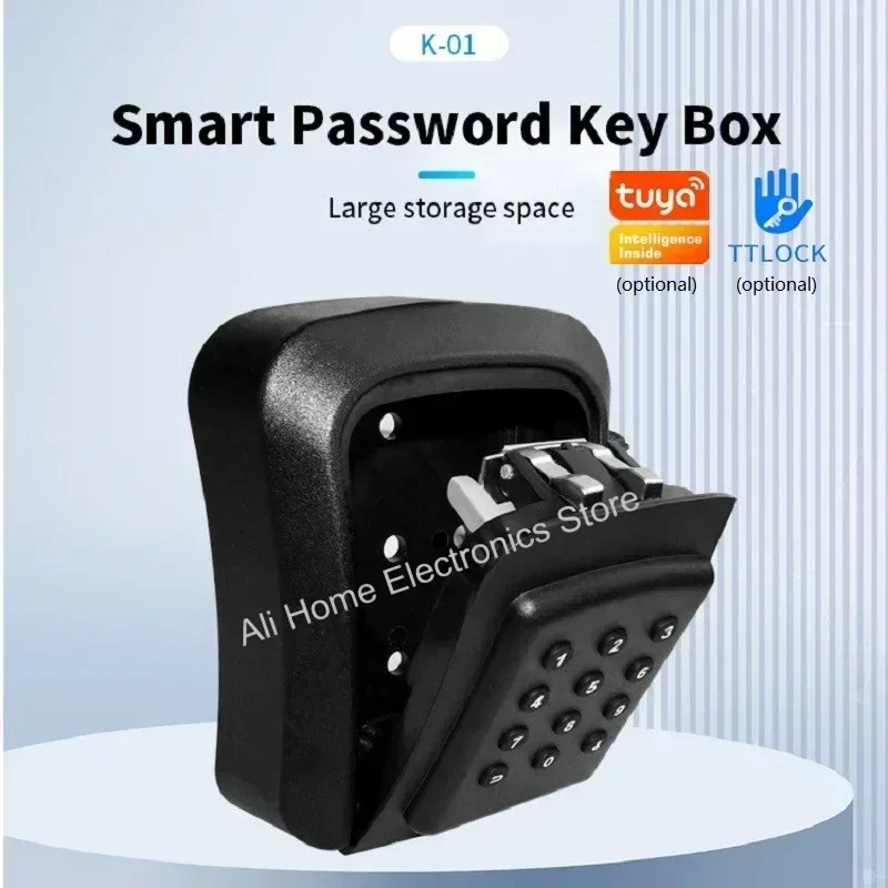 Tuya/TTlock Smart Password Lock Box Homestay Chiave di grande capacità Password APP Sblocco IP65 Cassetta di sicurezza elettronica impermeabile