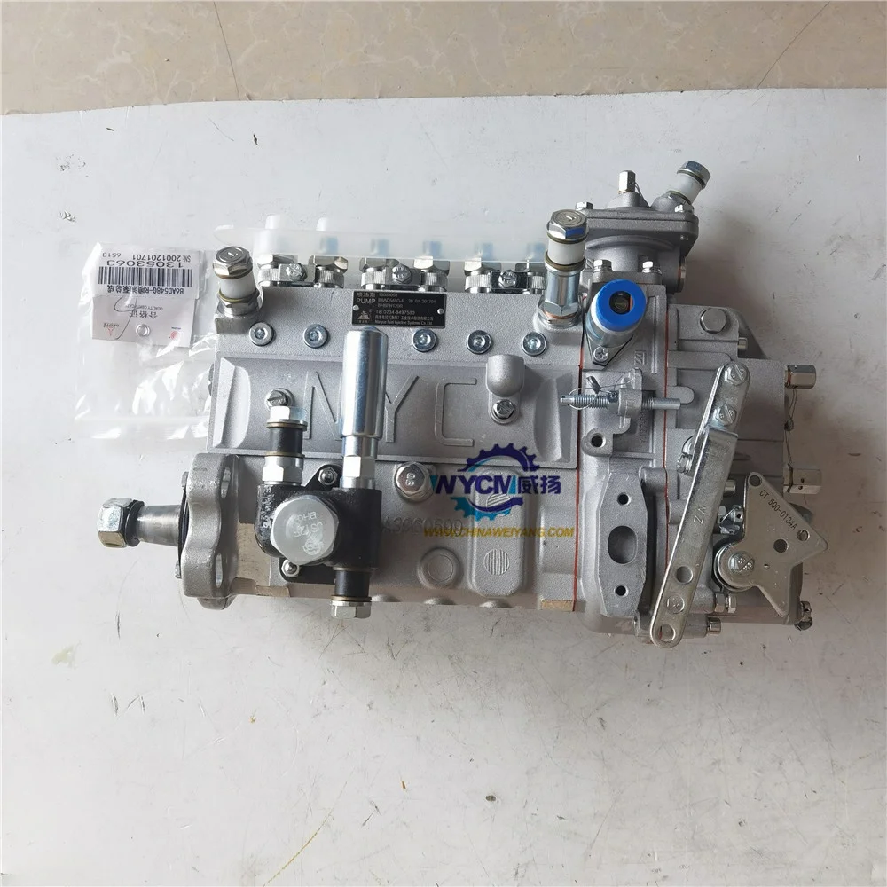 Nanyue Fuel Injection Pump 13053063 B6AD548G-R for Weichai Engine