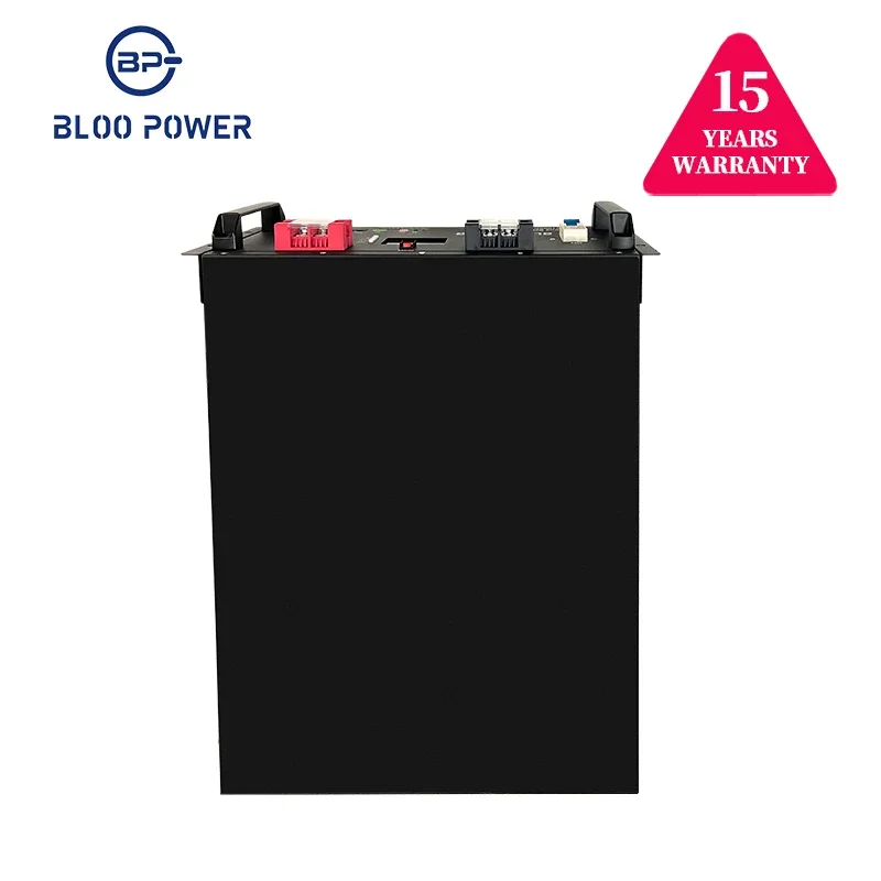 Bloopower Home Energy Storage System Lifepo4 Battery Packs 10kwh Rack Mount Lithium Batteries Solar Generator Backup Battery