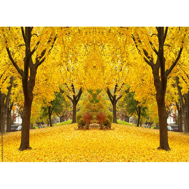 SHENGYONGBAO Natural Scenery Photography Background Fall Leaves Forest Landscape Photo Backdrops Studio Props QQTT-01