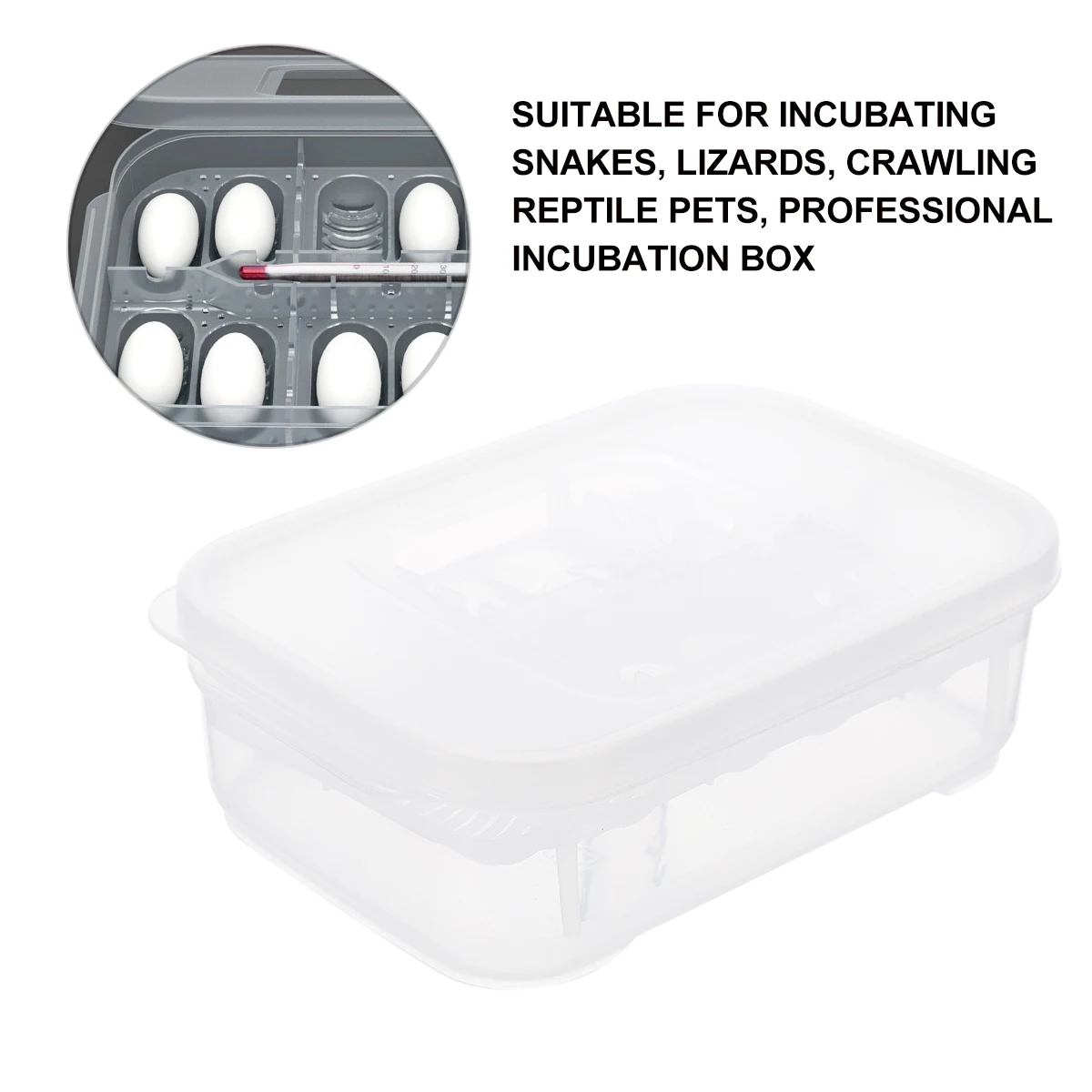 

Hatchery Box Incubation Container Reptile Lizard Breeding Box Easy Clean Grids Design Manage Storage Repeated Use Professional