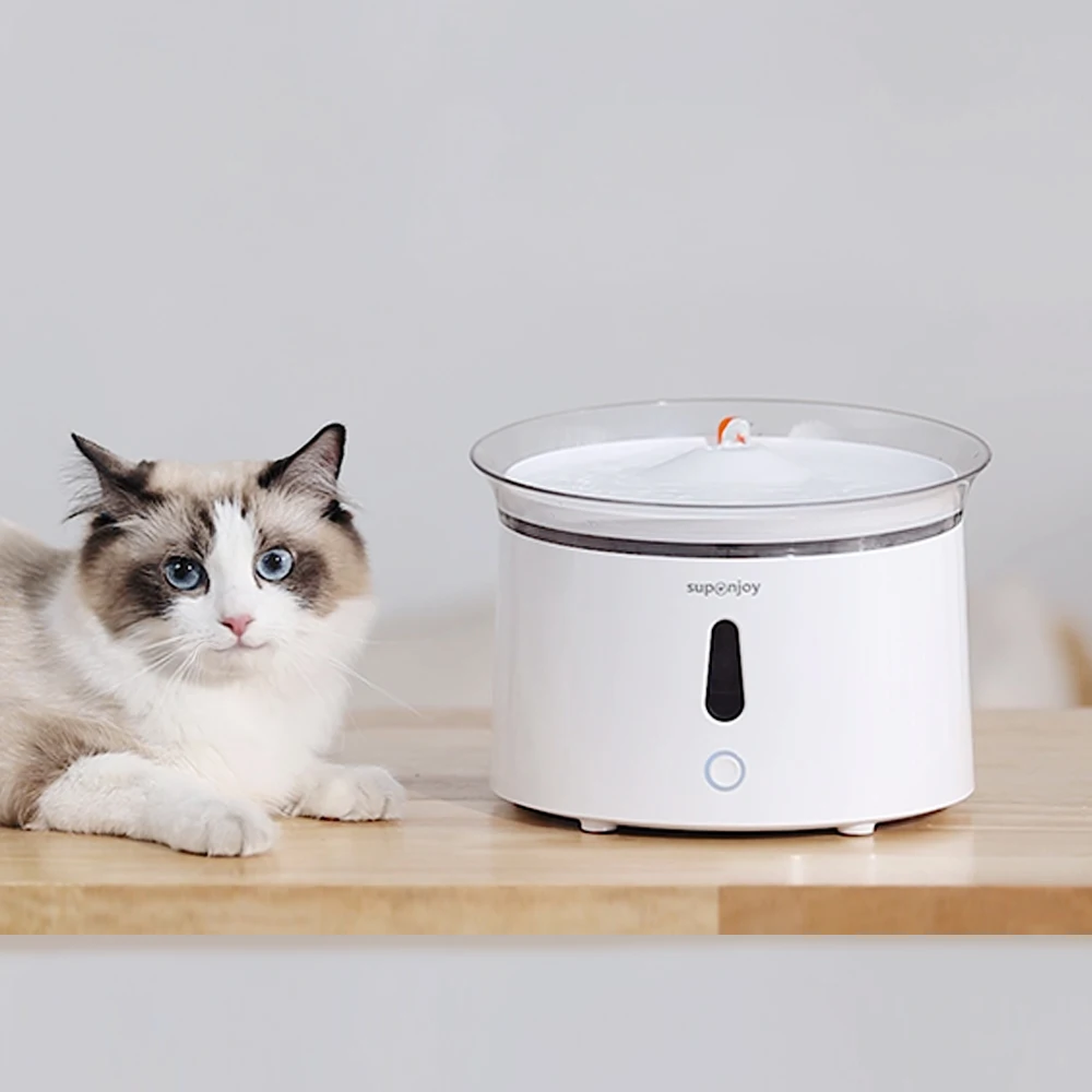 

Smart Water Fountains For the Health-Conscious Pet Owner cat water fountain 2.4l ultra quiet pet water dispenser