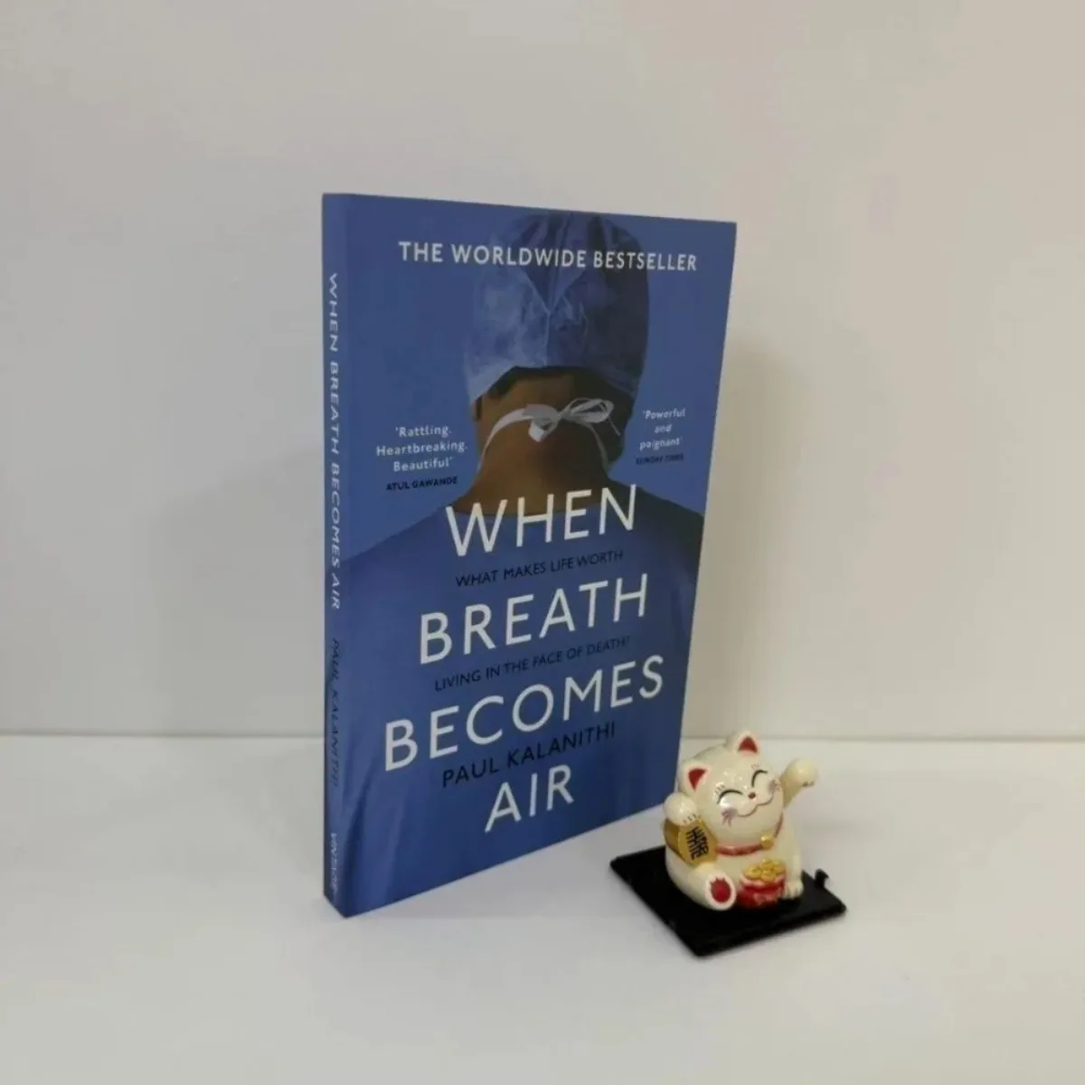 

When Breath Becomes Air By Paul Kalanithi - Neurosurgeon’s Memoir Life & Death Medical Philosophy Final Journey Meaning of Life