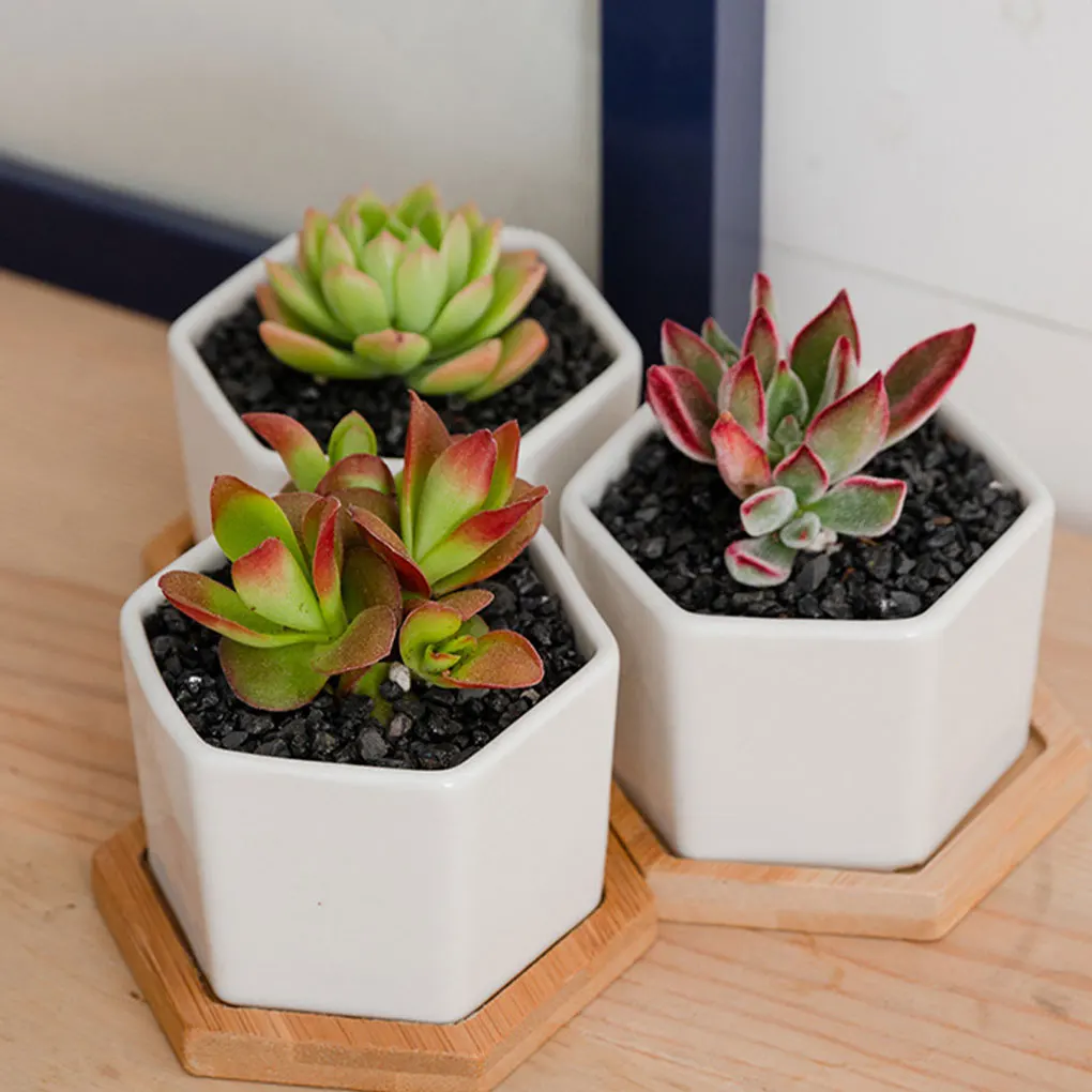 

4pcs set Stylish Flower Pot For Succulent Plants For Small Spaces Ceramic Flower Pot Flower Pots