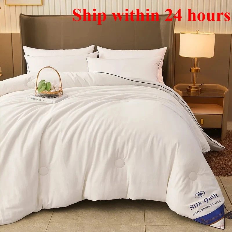 

2025 five-star hotel quilt core spring autumn and summer quilt homestay home student silk quilt core single double
