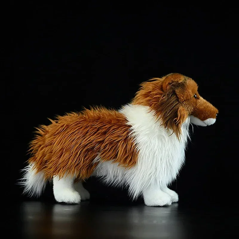 Shetland Sheepdog Plush Toy Cute Shelti Dog Plushie Lifelike Stuffed Animals Simulation Dwarf Scottch Shepherd Doll For  Gift