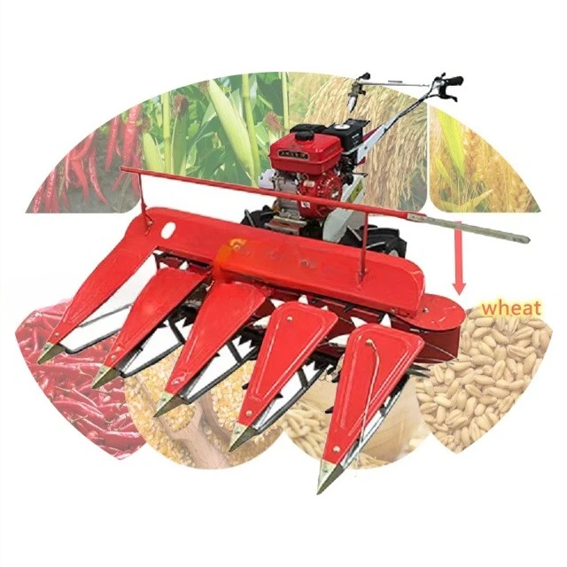 

Дешевая заводская распродажа, измельчитель перца, измельчитель фасоли, комбайн, машина для измельчения фасоли