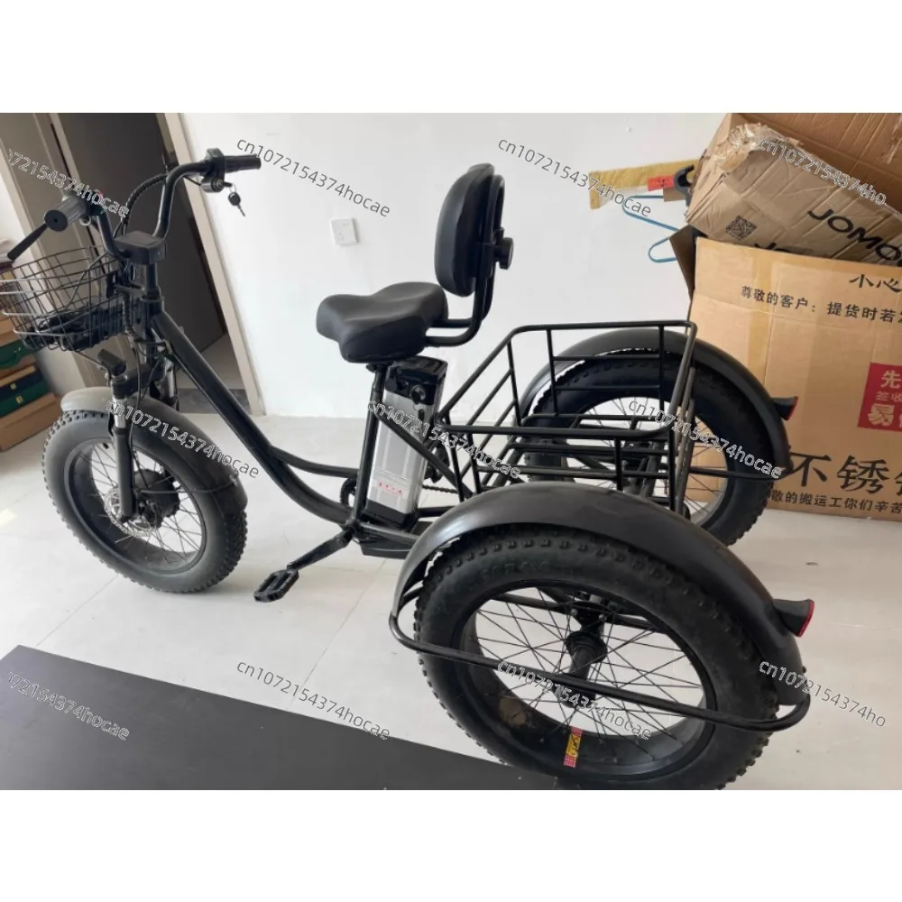 24Inch Fat Tire 750W 15AH Removable Battery 3 Wheel Adult Electric Tricycle Cargo Mountain E-Bike