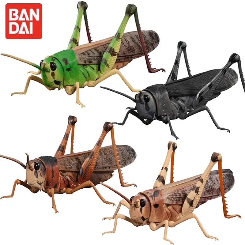 GACHA Ecological Atlas FIGURE Joint Mobility Locust Grasshopper Migratory Locust Insect Creature ACTION Figure Model Toys