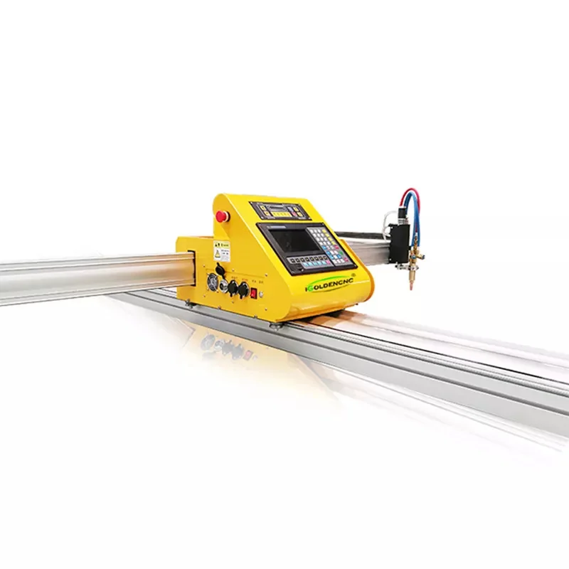 Portable Gantry CNC Cutting Machine Small Flame Plasma Cutter LGK Source for Metal Steel Plate & Aluminum 220V with Servo Motor