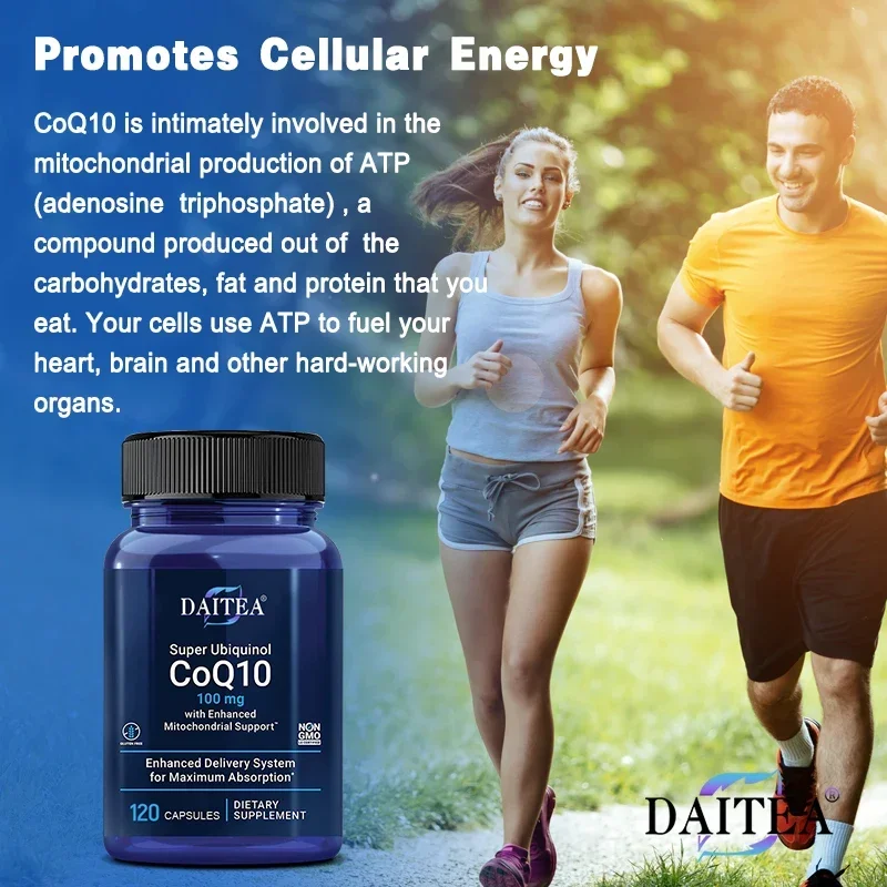 Daitea Super Absorbable Coenzyme Q10 Supplement 100mg - for Efficient Energy Production and Circulatory Health