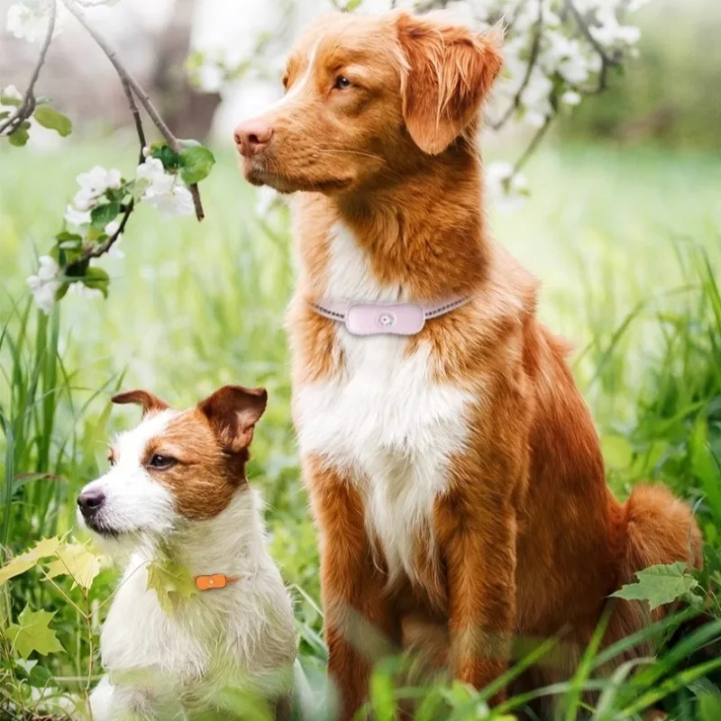 

Waterproof GPS Pet Tracker Collar for Dogs/Cats, Anti-Loss Real-Time Tracking Device with Long Battery & Anti-Tear Design