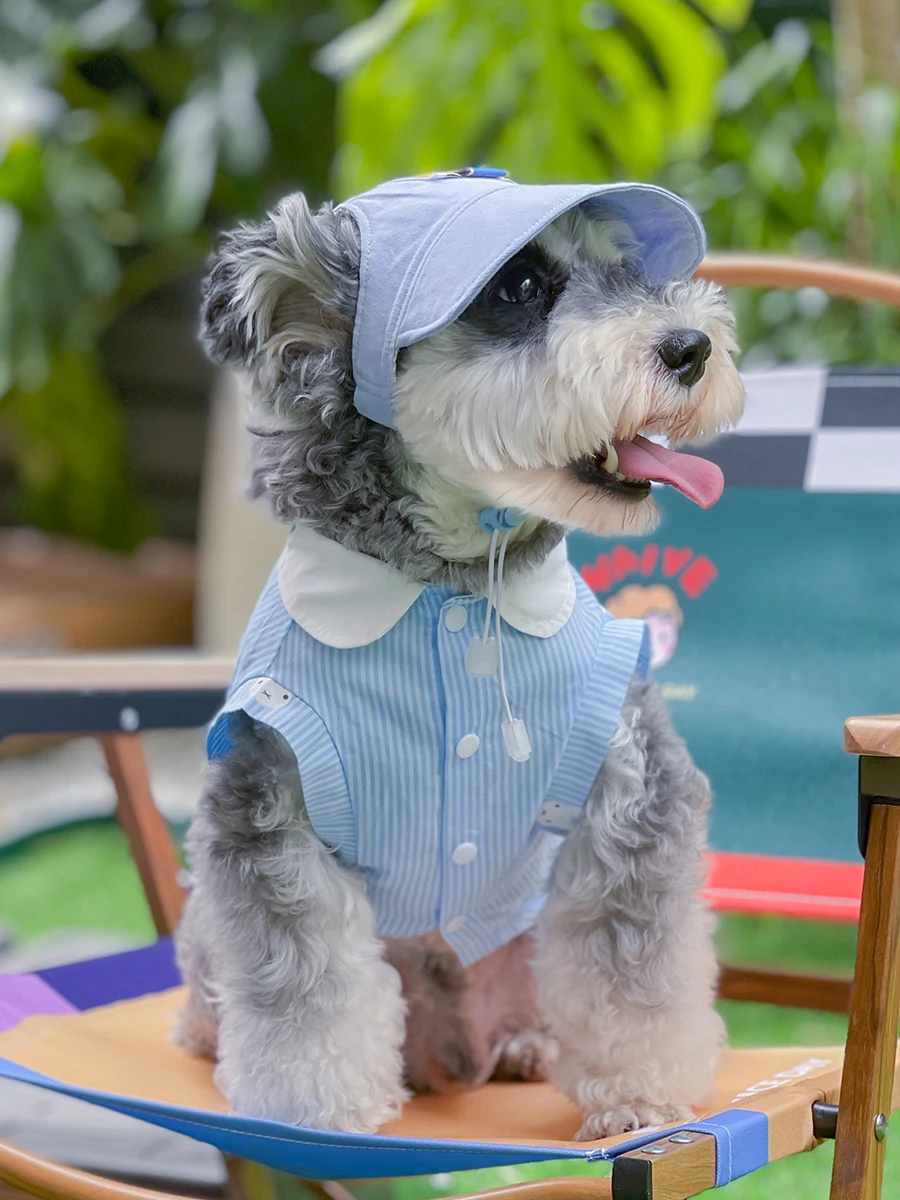 

Summer Blue T-shirt with Hat for Schnauzer Fashion Breathable Dogs Clothes For Small Medium Large Pomerami Bichon Dogs