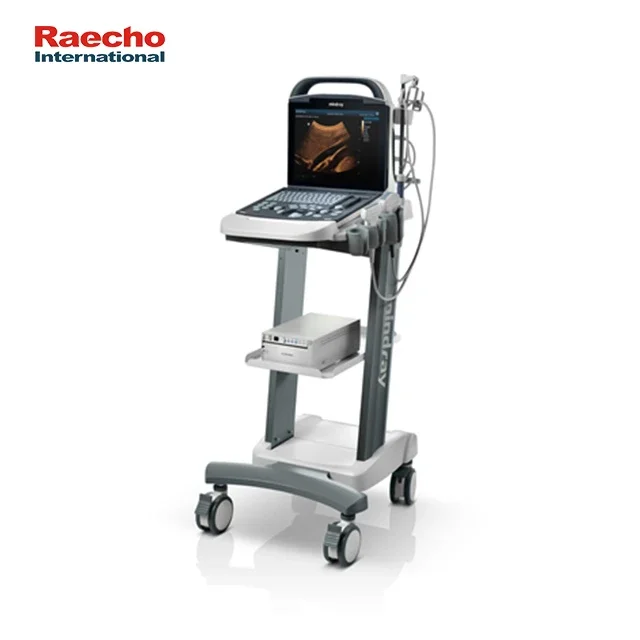 Mindray DP-10 Portable Human Use Ultrasound Machine B/W Ultrasound