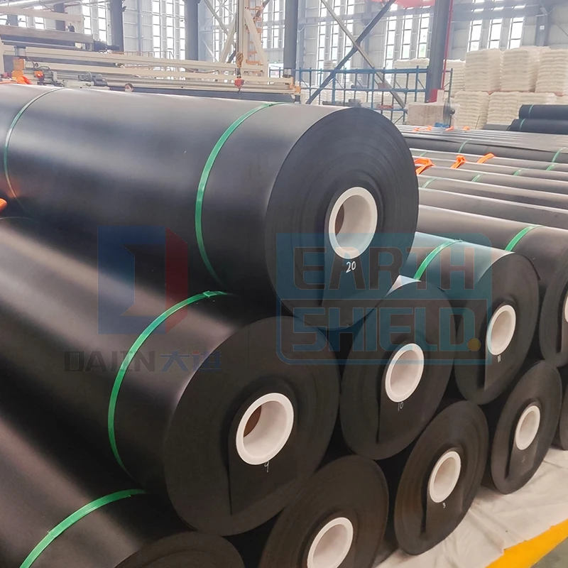 HDPE Geomembrane Waterproof Liner Customized Roll Size for Dam Canal Pond Landfill and Mining Engineering Projects