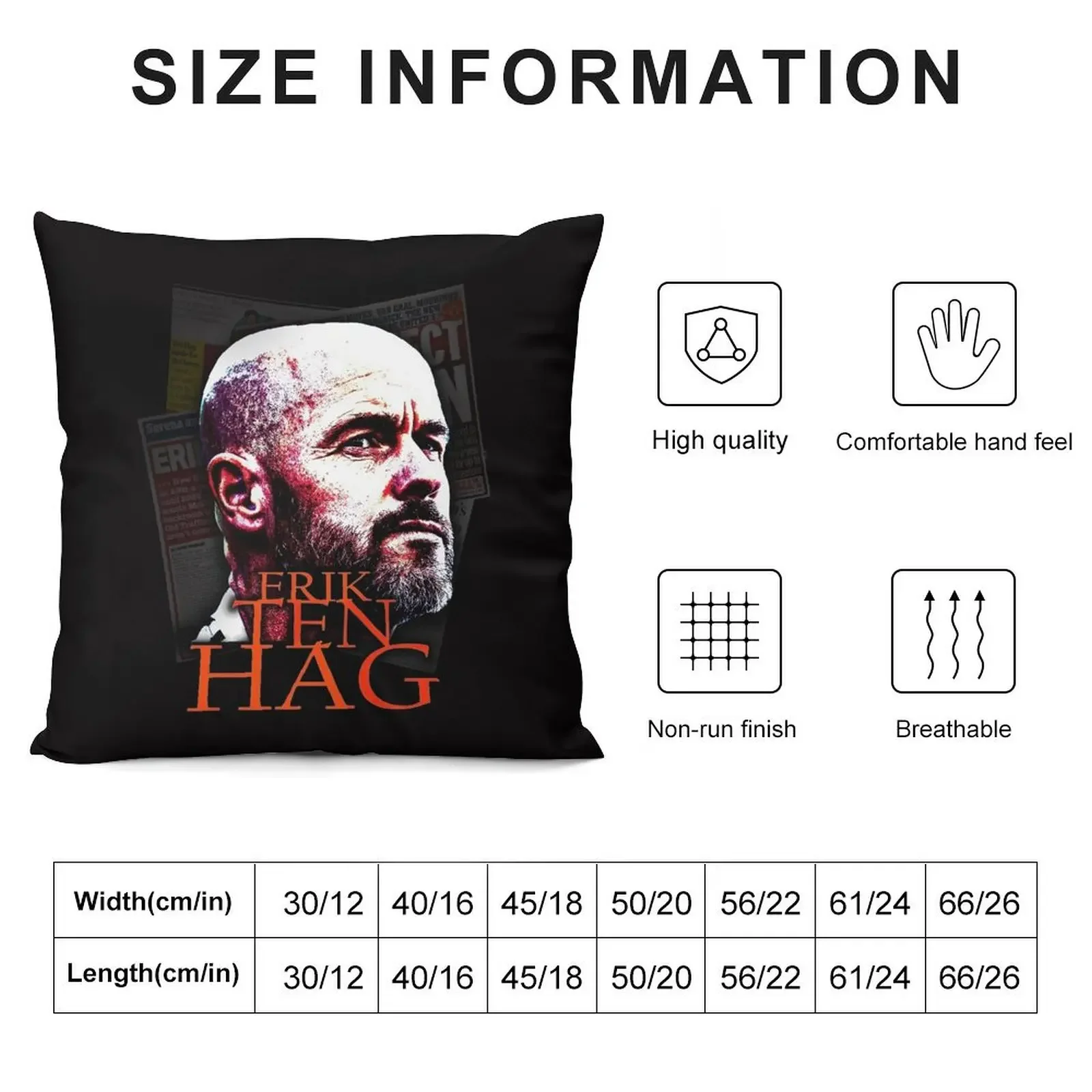 ERIK TEN HAG Throw Pillow Luxury Pillow Case Rectangular Cushion Cover Room decorating items pillow