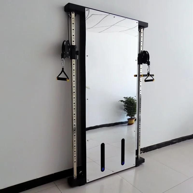 Wall Bird Trainer Wall-mounted Double Squat Trainer Retractable Bird Frame Home and Commercial Comprehensive Fitness Equipment