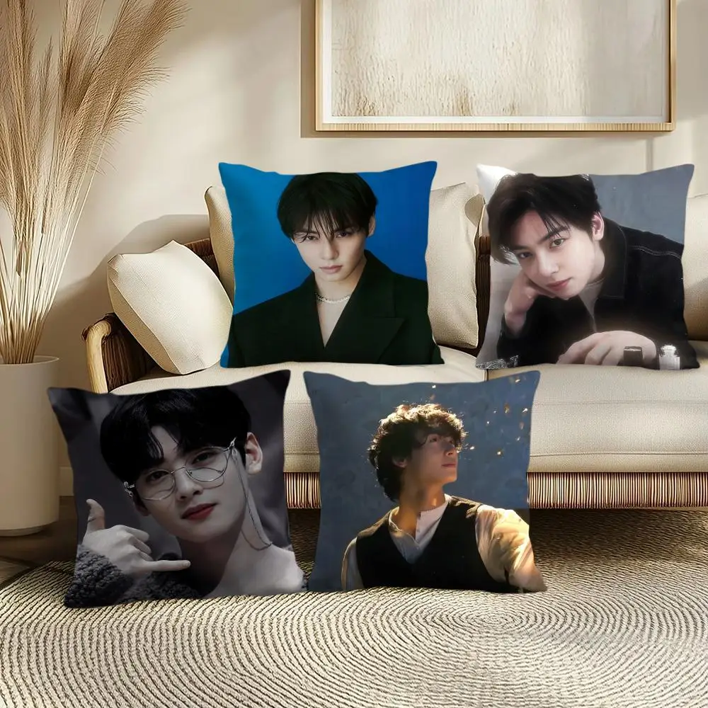 Singer Cha E-Eun W-Woo Cushion Cover Soft Short Plush Pillow