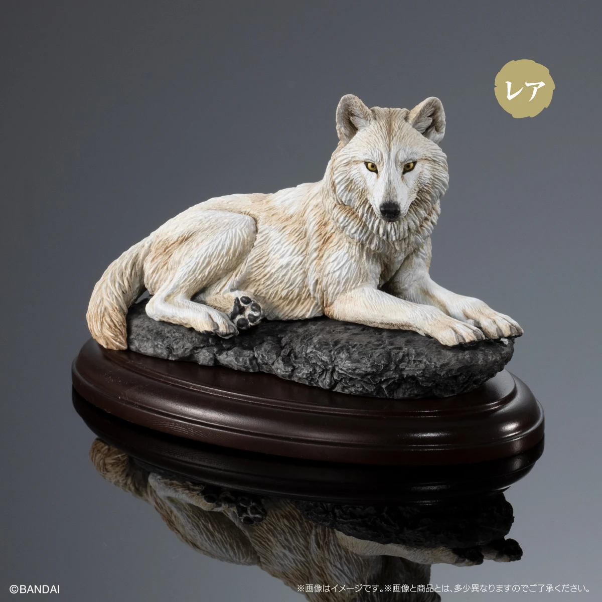 BANDAI Biological Encyclopedia Action Figures Model Canine Shaped Ornaments Wolf Red Fox GASHAPON Official Genuine Ornament