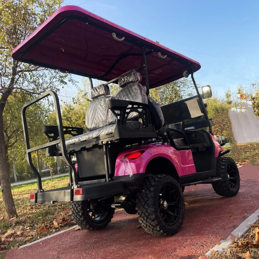 The World's Best-Selling Electric Golf Cart Model E 6-Passenger Golf Cart For Families Free Custom Color Recreational Golf Cart