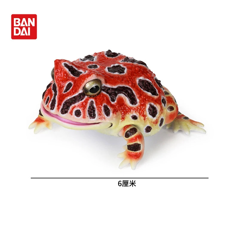 لعبة بانداي الأصلية Ikemono Taisyou ADVANCE Lepidobatrachus Llanensis Gacha Gashapon مجموعة شخصيات الرسوم المتحركة